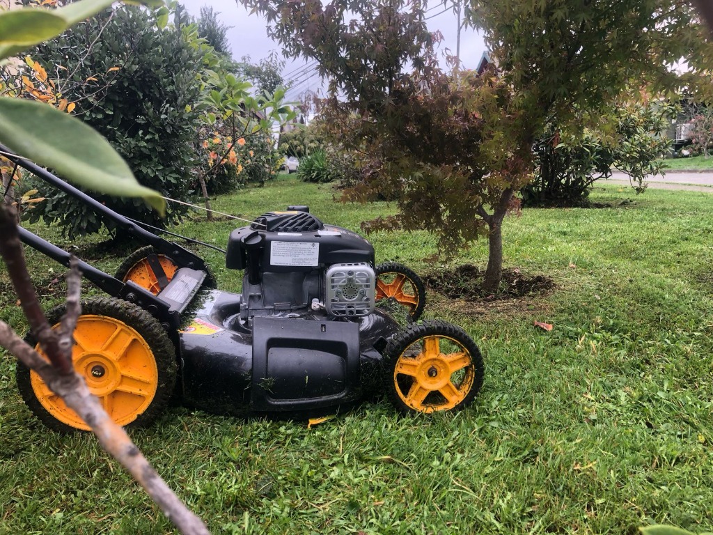 Servicio de jardinería profesional en Temuco